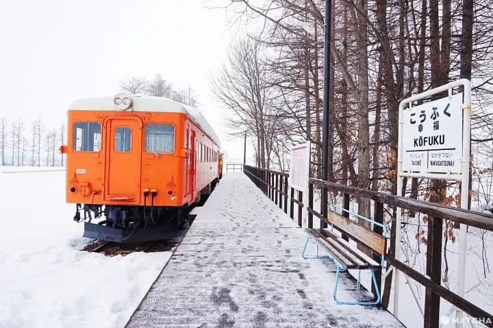 เที่ยวฮอกไกโดไม่ต้องเช่ารถขับที่โอบิฮิโระ กิจกรรมหิมะสบายๆ ของอร่อยเพียบ!