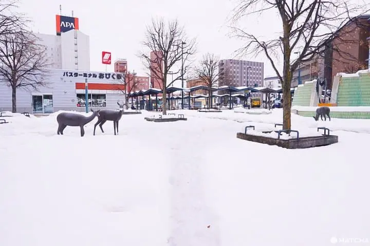 เที่ยวฮอกไกโดไม่ต้องเช่ารถขับที่โอบิฮิโระ กิจกรรมหิมะสบายๆ ของอร่อยเพียบ!