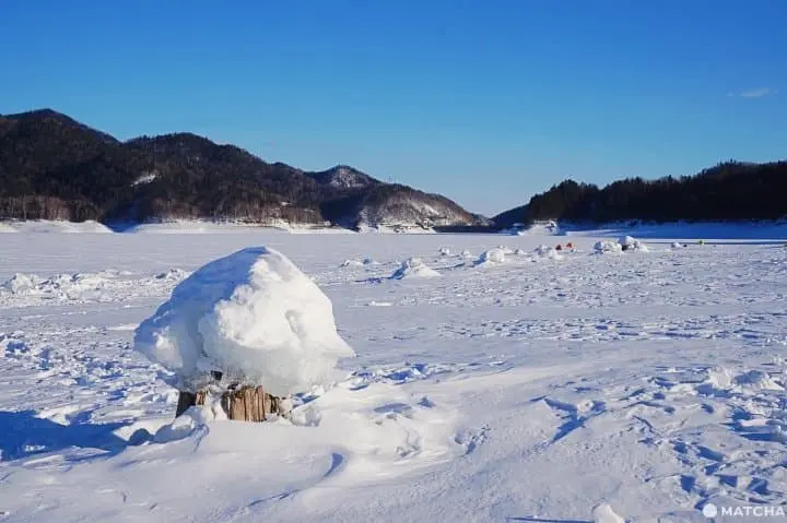 เที่ยวฮอกไกโดไม่ต้องเช่ารถขับที่โอบิฮิโระ กิจกรรมหิมะสบายๆ ของอร่อยเพียบ!