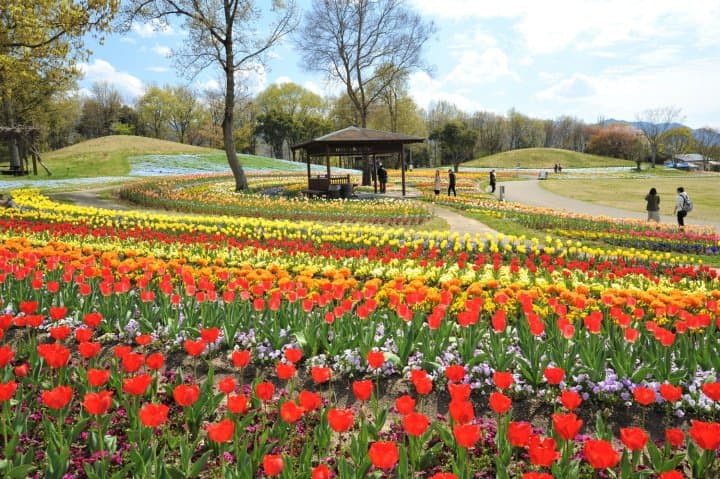 讃岐まんのう公園