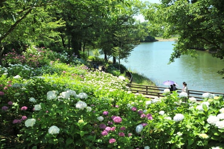 讃岐まんのう公園