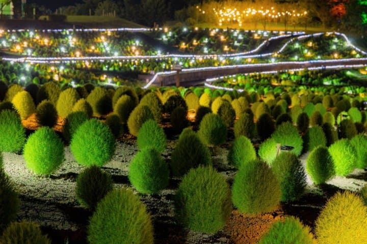 讃岐まんのう公園