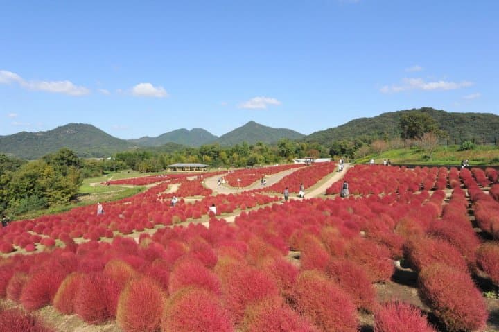 讃岐まんのう公園