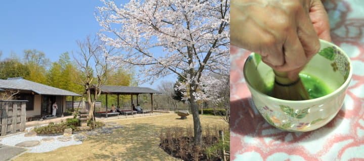 讃岐まんのう公園