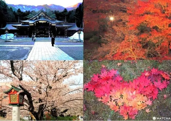 Exploring Yahiko – Niigata’s Most Famous Shrine Town!