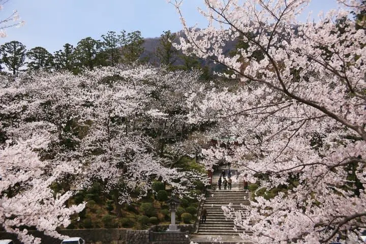 Exploring Yahiko – Niigata’s Most Famous Shrine Town!