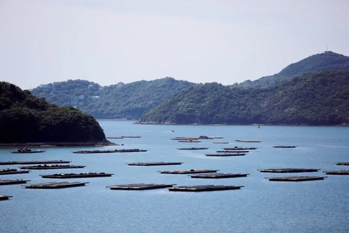 2021岡山米其林名單出爐 一次吃過平民美食炸豬排拉麵、老店壽司、高級義式料理