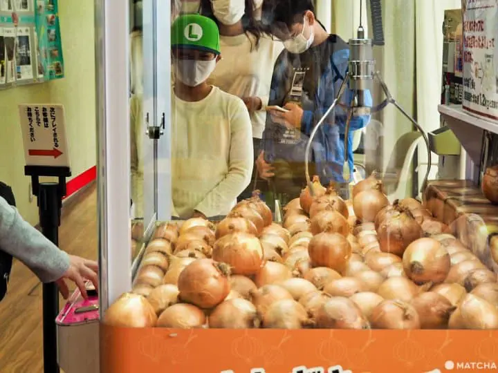 抓娃娃機　洋蔥