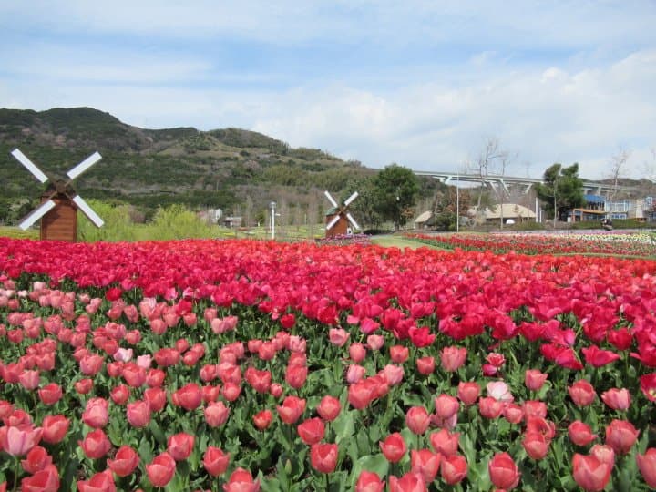 國營明石海峽公園