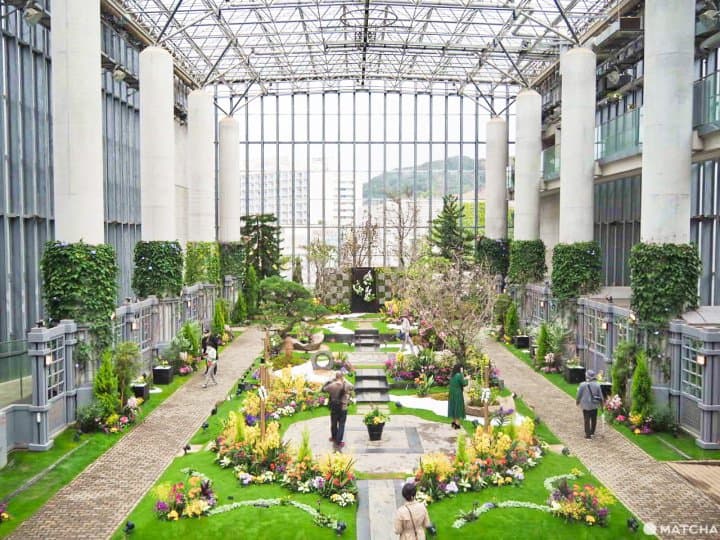 奇蹟之星植物館