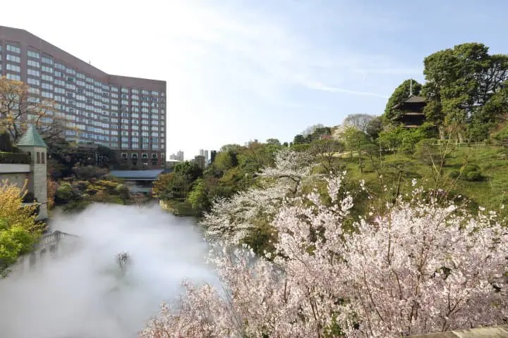 Cherry Blossoms and a Sea of Clouds! Hotel Chinzanso Tokyo in Spring