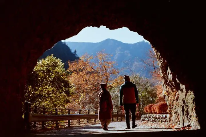 JR東日本青梅線 Ensen Marugoto Hotel觀光行程4