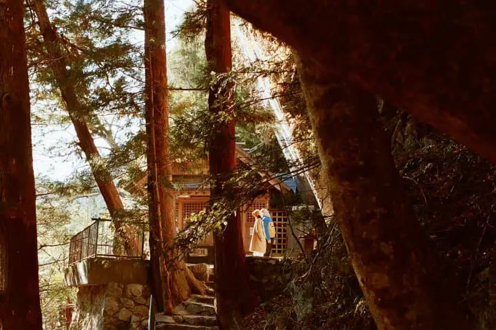 JR東日本青梅線 慢活輕旅行