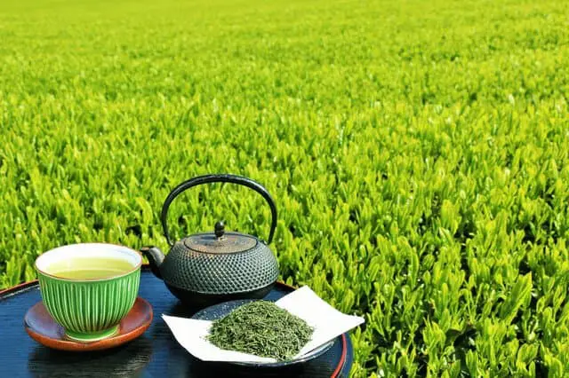Tasty Green Tea Starts With Tea Ware! A Guide to Teapots, Bowls, and Utensils