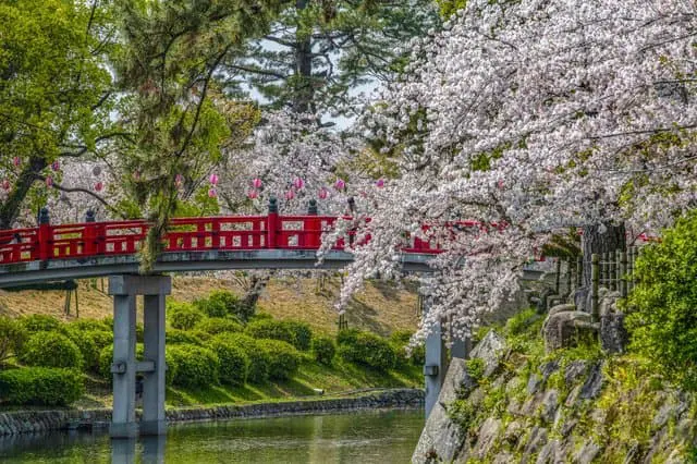 爱知地区观光分别指南——名古屋、犬山、丰田、知多半岛的景点
