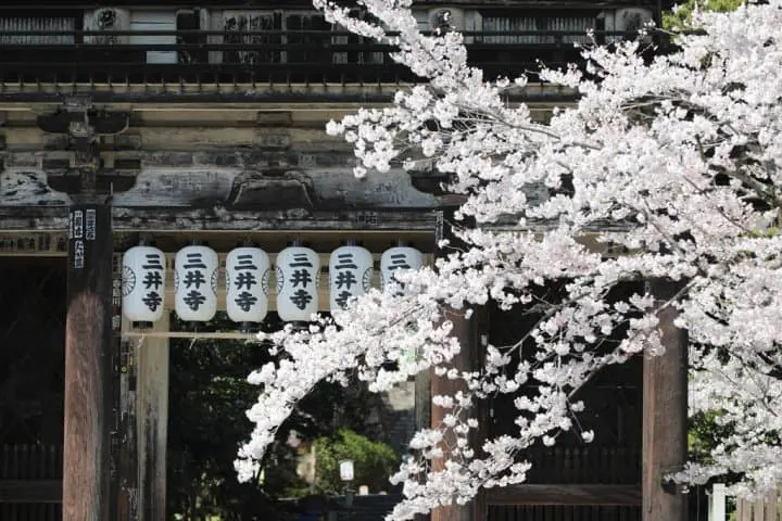 三井寺 神劍闖江湖