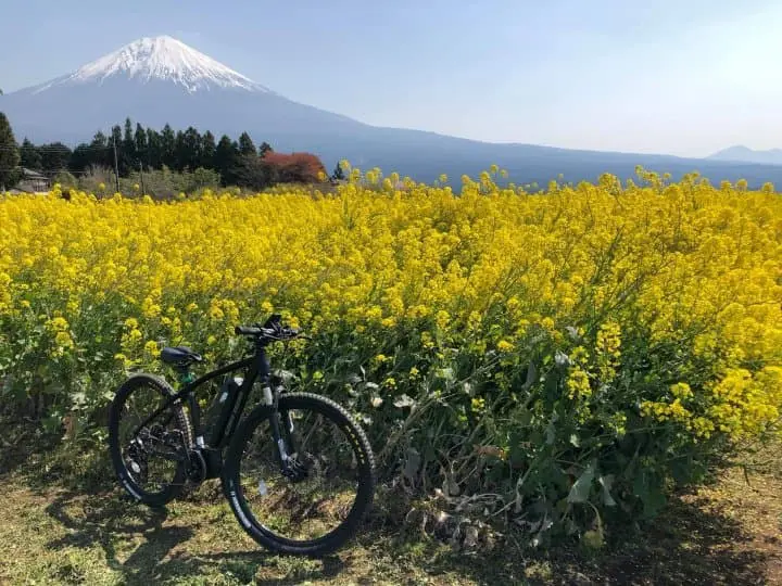 Mt. Fuji Satoyama Vacation: Experience Mt. Fuji in Style!