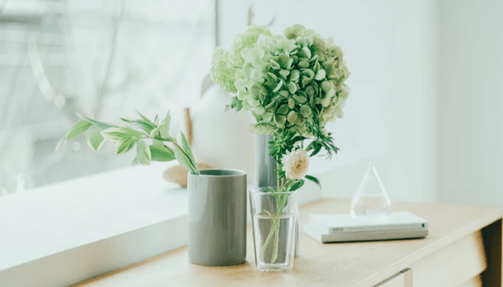 DAISO新品牌登場 $21買到無印風實用家具