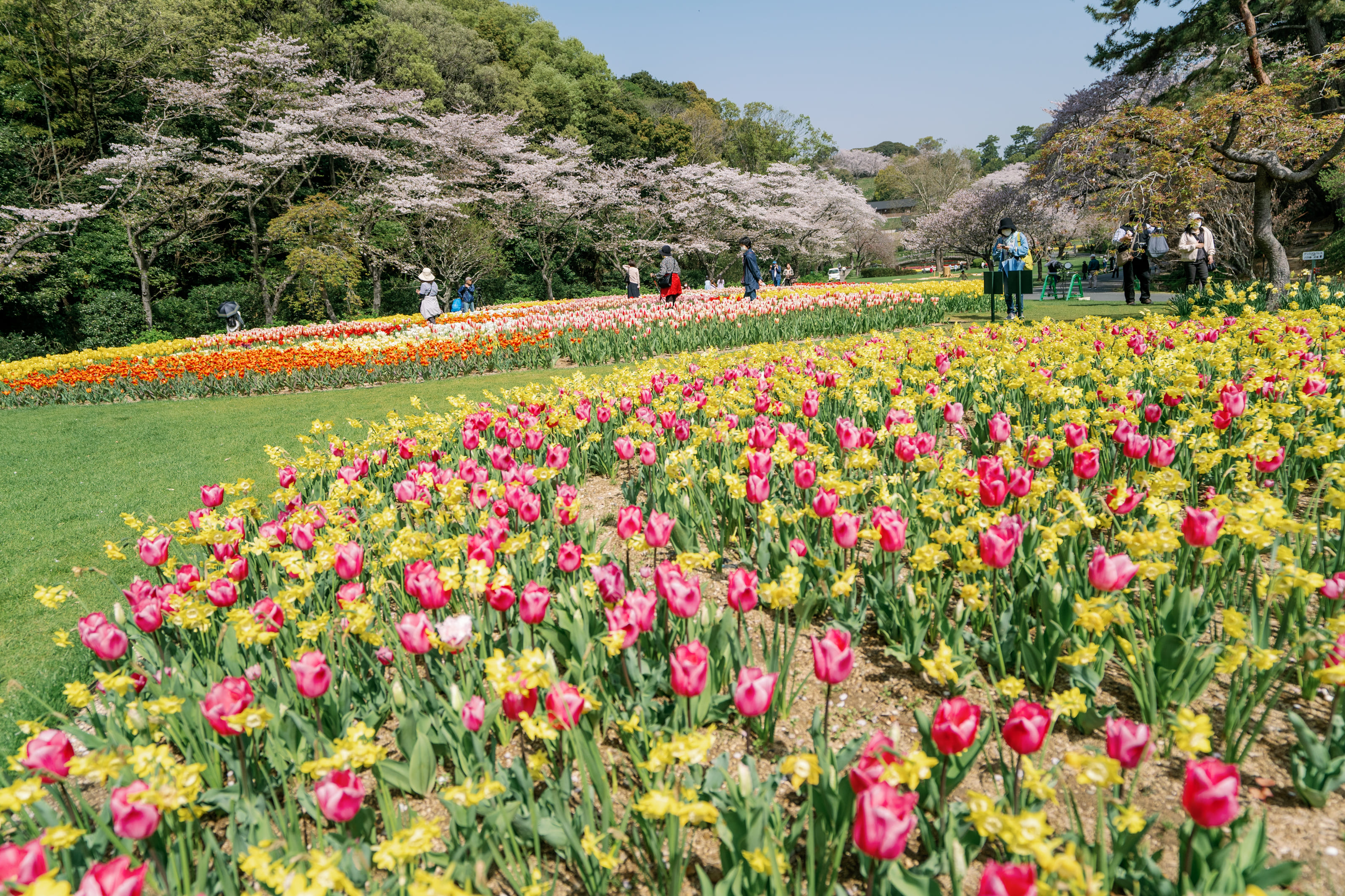 写真映え抜群 美しい湖と庭を満喫できる浜松の旅 Matcha 訪日外国人観光客向けwebマガジン