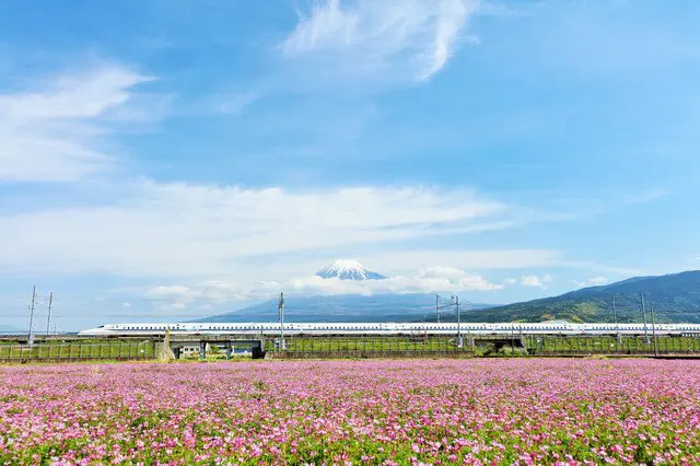 日本をお得に旅しよう！訪日客向けJRのフリーパス完全ガイド