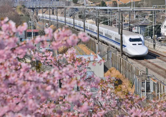 Nara 2023 Edition: 15 Things To See and Do! World Heritage Sites and Local Cuisine