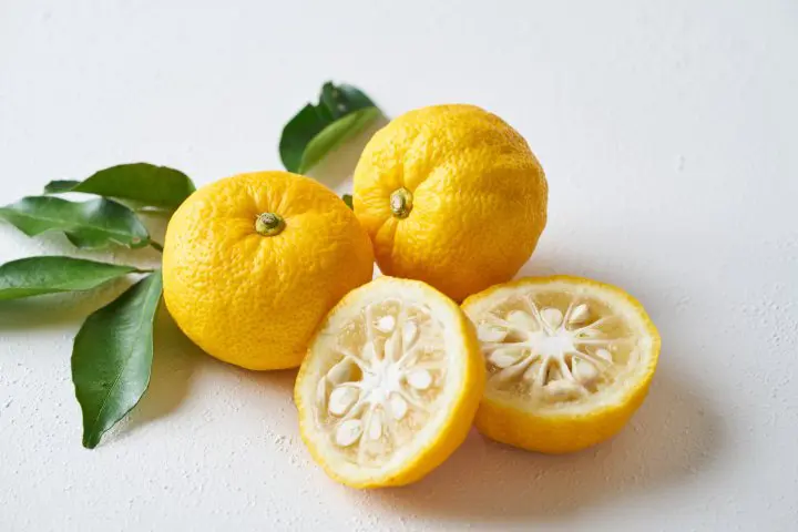 台灣與日本柚子（文旦）