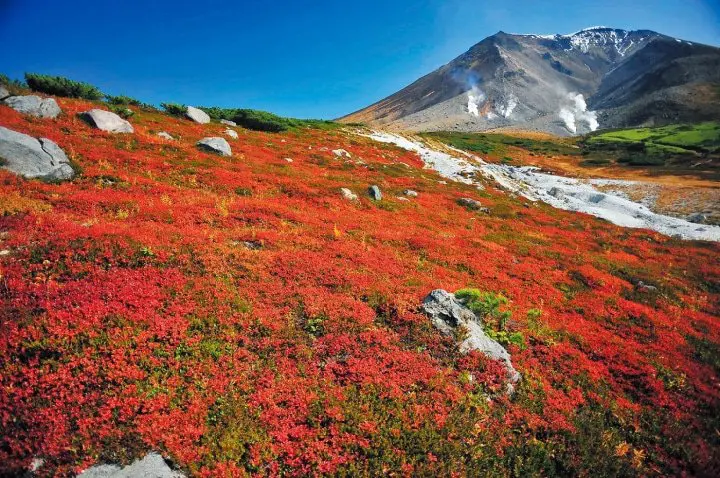 Hoshino Resorts Offers New Autumn Leaves Ramen Tour