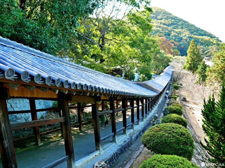 暢遊岡山、鳥取、島根之美推薦使用「山陽&山陰地區鐵路周遊券」最實惠!