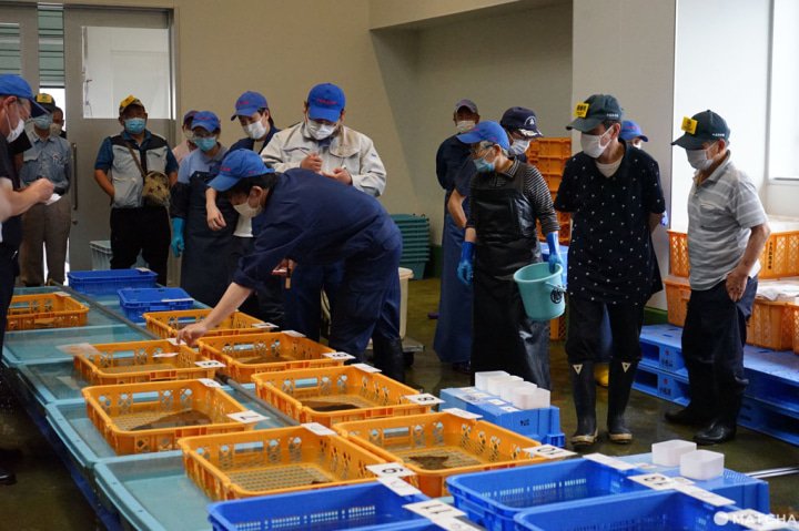 小名濱魚市場