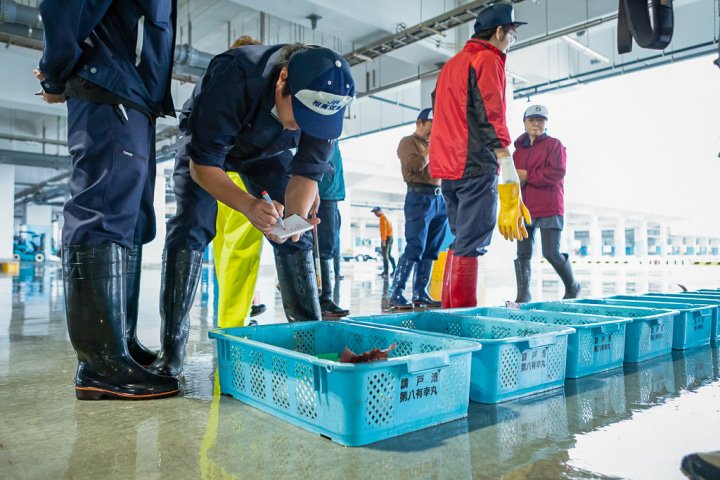 魚のセリ準備