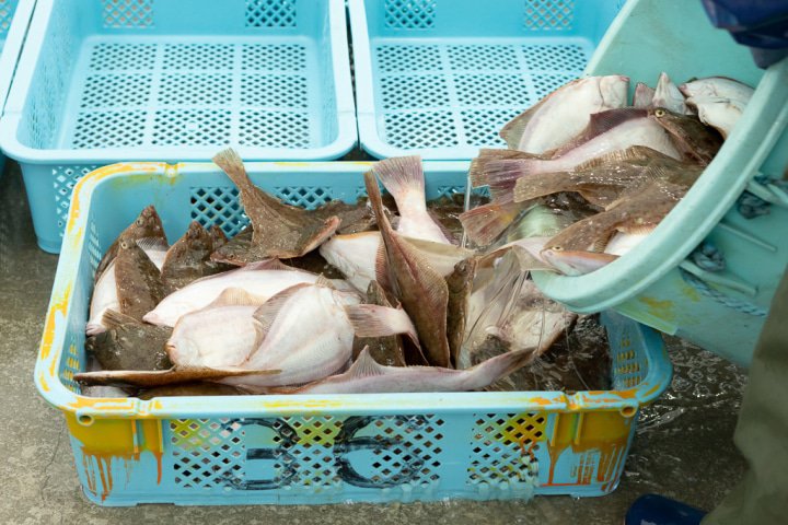 福島水産魚介類