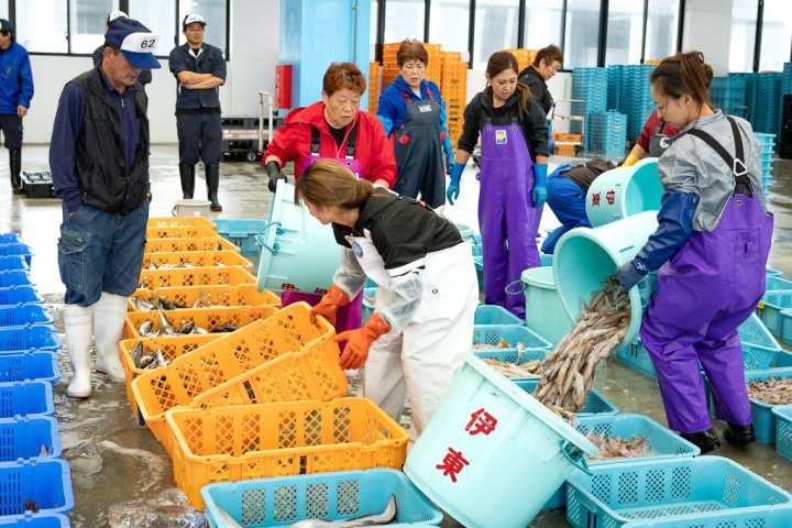 魚の分類