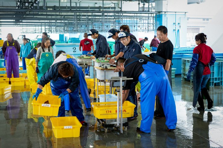 魚の計量