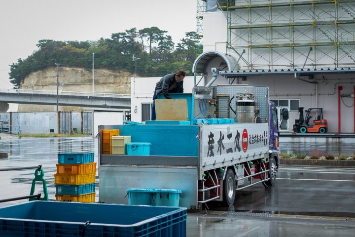 魚の出荷