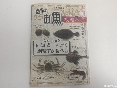 相馬魚攻略小冊