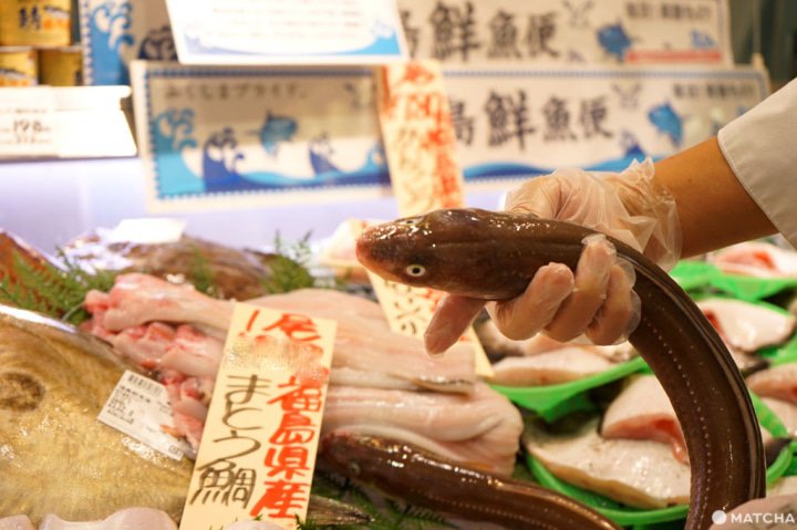 穴子