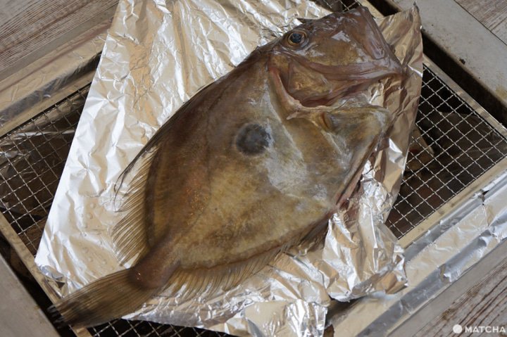 日本鲂魚