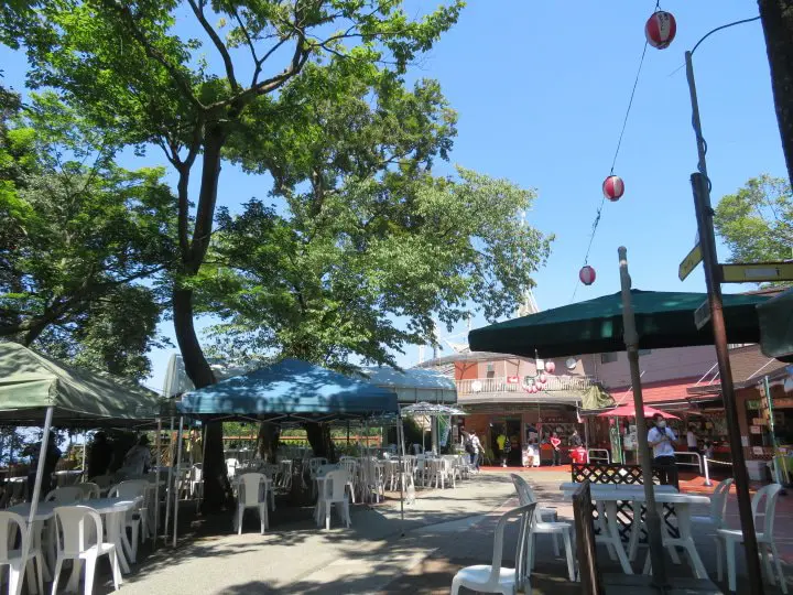 【東京近郊】使用京王高尾山乘車券，感受高尾山夏日之美