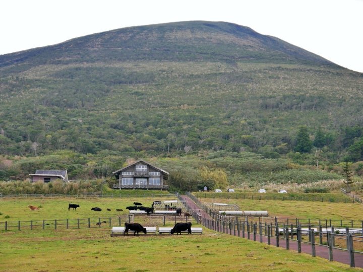 【東京離島】在「八丈VIEW HOTEL」度過八丈島上的悠閒慢活時光