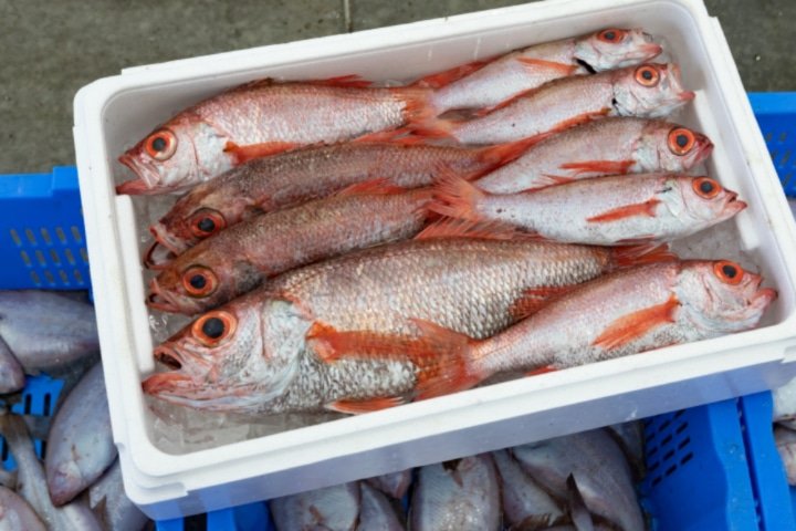 「福島の海を守りたい」。漁業の現状と漁師たちの想い