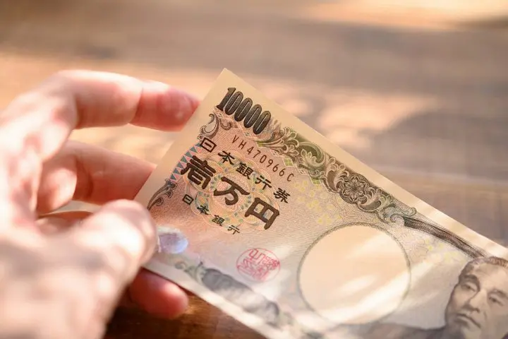 武田双雲の日本文化入門〜第9回 それぞれ違って、どれも面白い！書道の書体