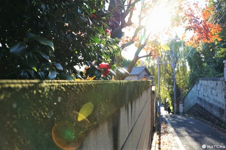 東京の中心で旅館に泊まろう!谷根千の「旅館 澤の屋」