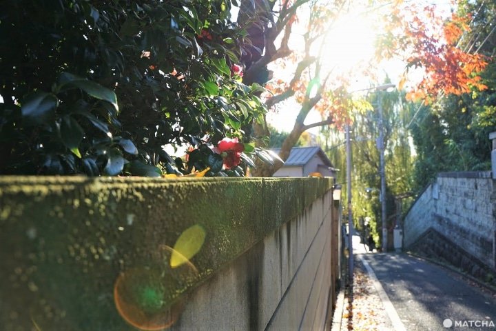 Sawanoya Ryokan : hébergement élégant et abordable au cœur de Tokyo