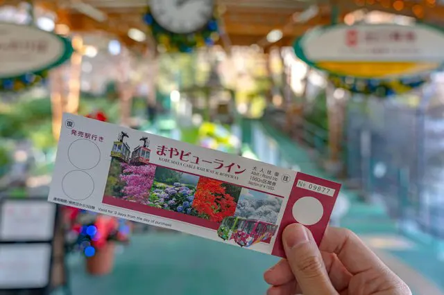 日本三大夜景のひとつ！神戸の「摩耶山掬星台」への行き方