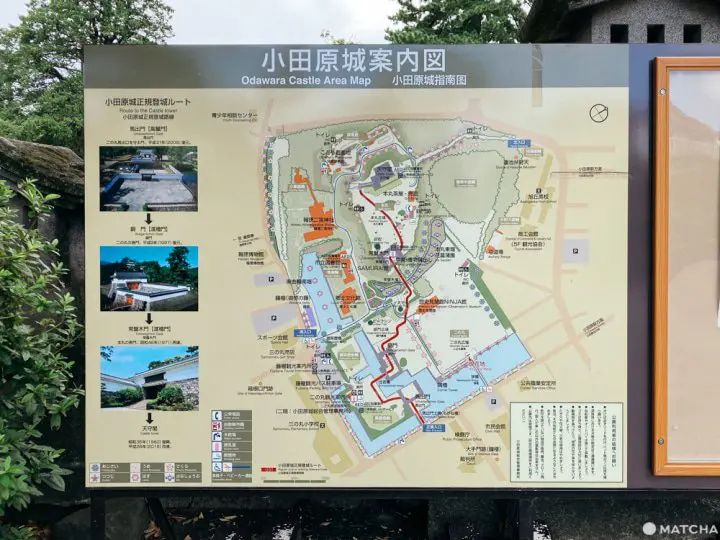 天守閣から見える海！フォトジェニックな小田原城へ