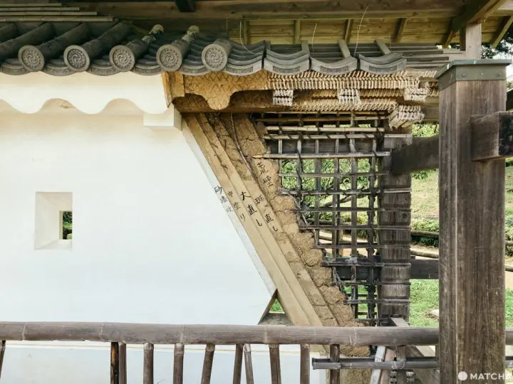 天守閣から見える海！フォトジェニックな小田原城へ