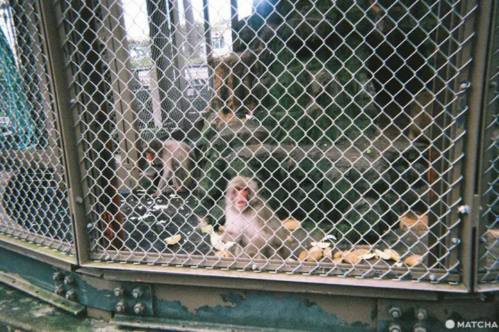 天守閣から見える海！フォトジェニックな小田原城へ