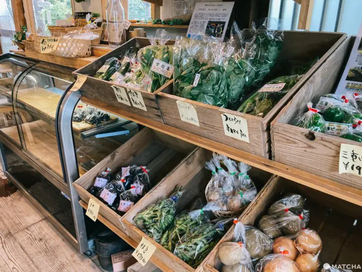 小田原・箱根観光で訪れたい。「農家cafe Raku」の野菜たっぷりランチ