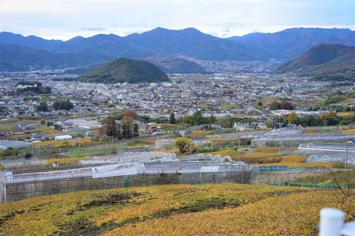 Koshu Day Trip: Exploring the Heart of Japan's Wine Culture