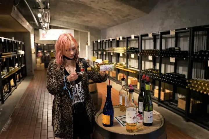 Koshu Day Trip: Exploring the Heart of Japan's Wine Culture